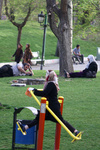 vahid sohrabi0030.jpg